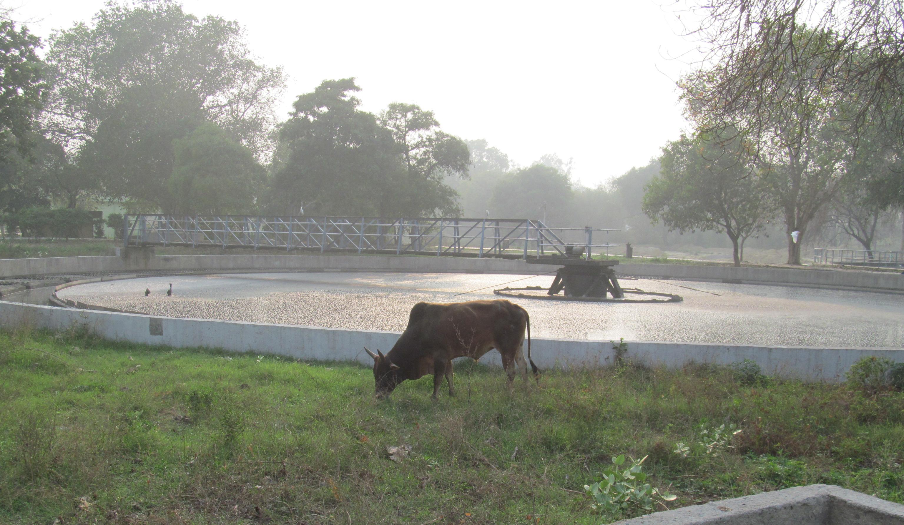 Kanpur_Jajmau_STP Jajmau STP